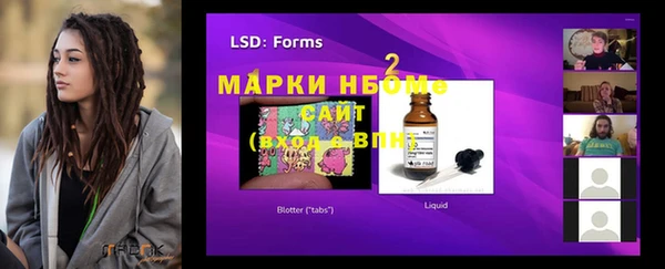 шишки Балахна