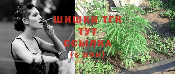 шишки Балахна