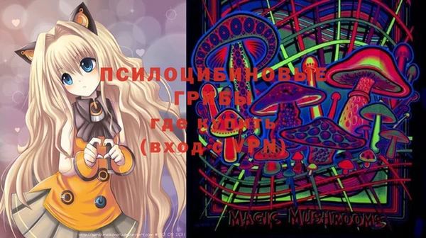 шишки Балахна