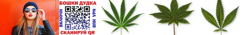 Канабис OG Kush  продажа наркотиков  MEGA ссылка  Кодинск 